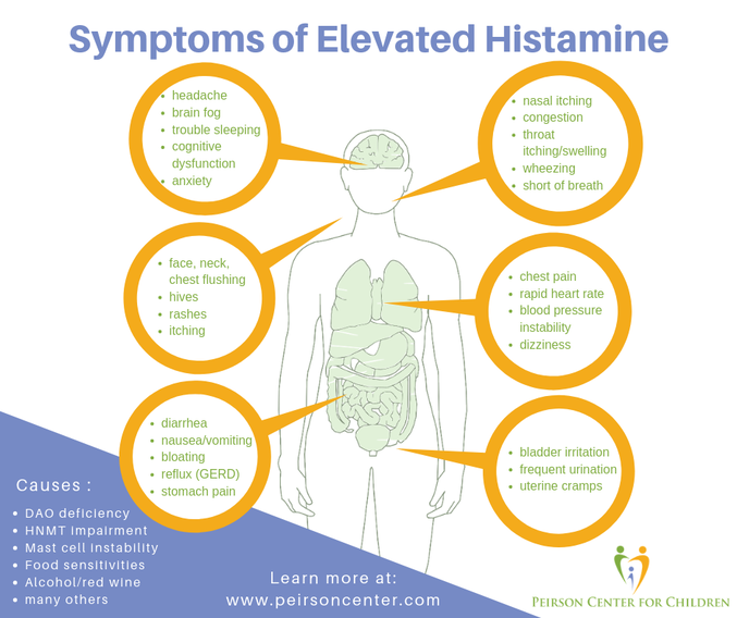 Inner Wellness Kinesiology - Do you have Histamine intolerances? Or you may  not even know you do! What is Histamine and what does it do you ask? You  may know histamine as